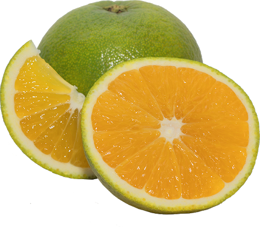 Naranja Valencia