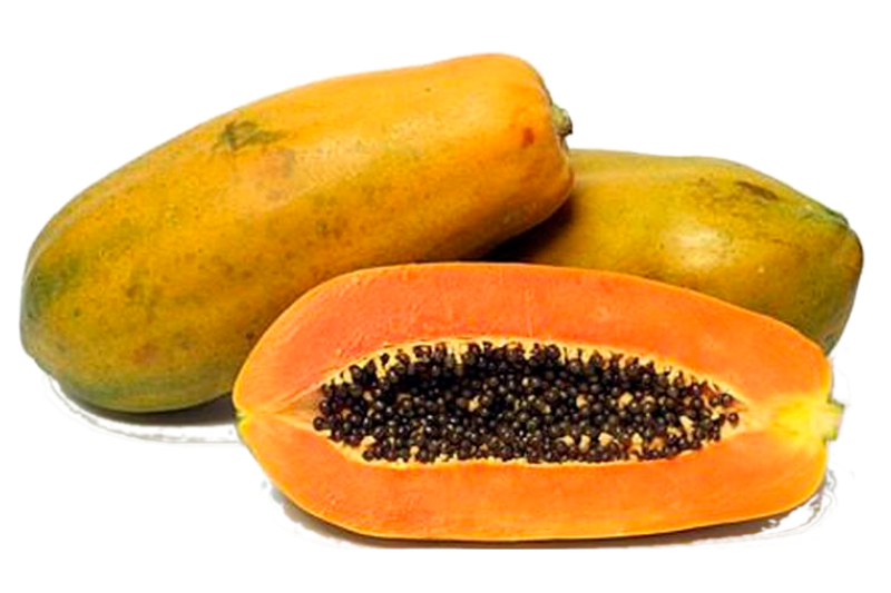 Papaya