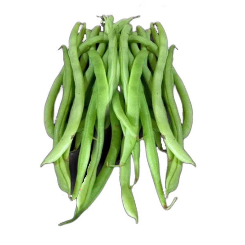 Vainica Kg