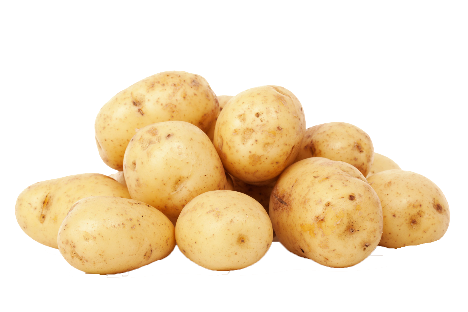 Papa semilla Kg