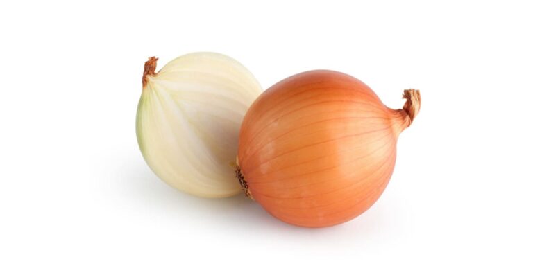 Cebolla Kg