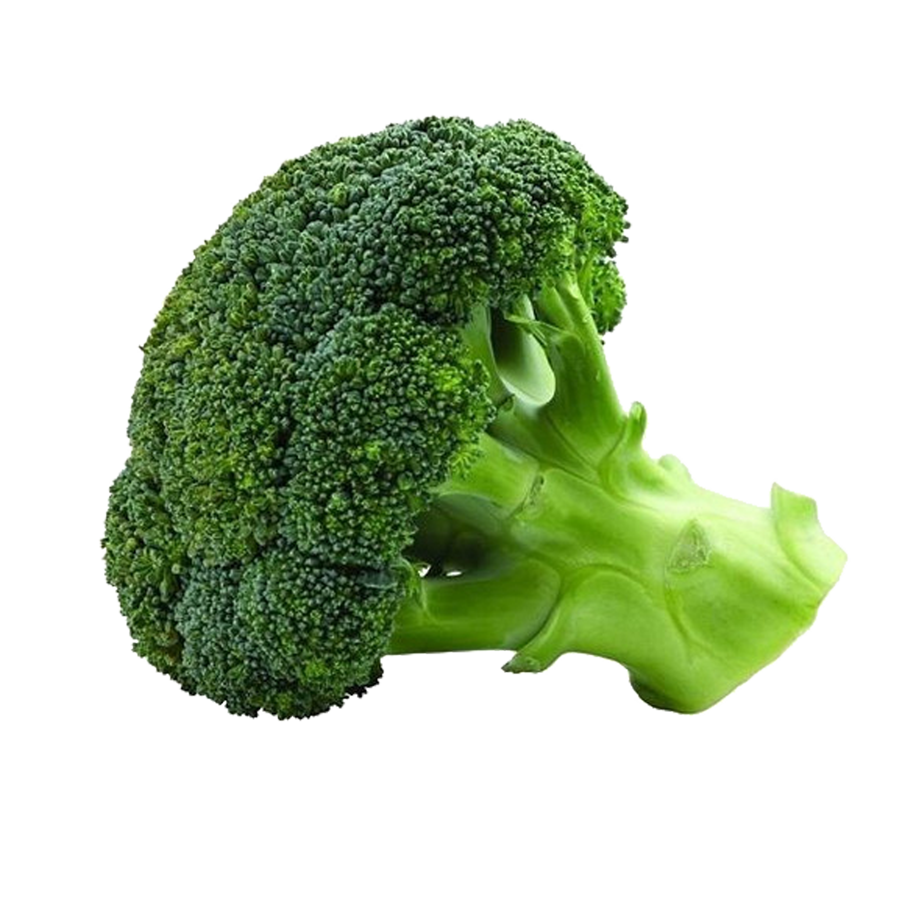 Brócoli