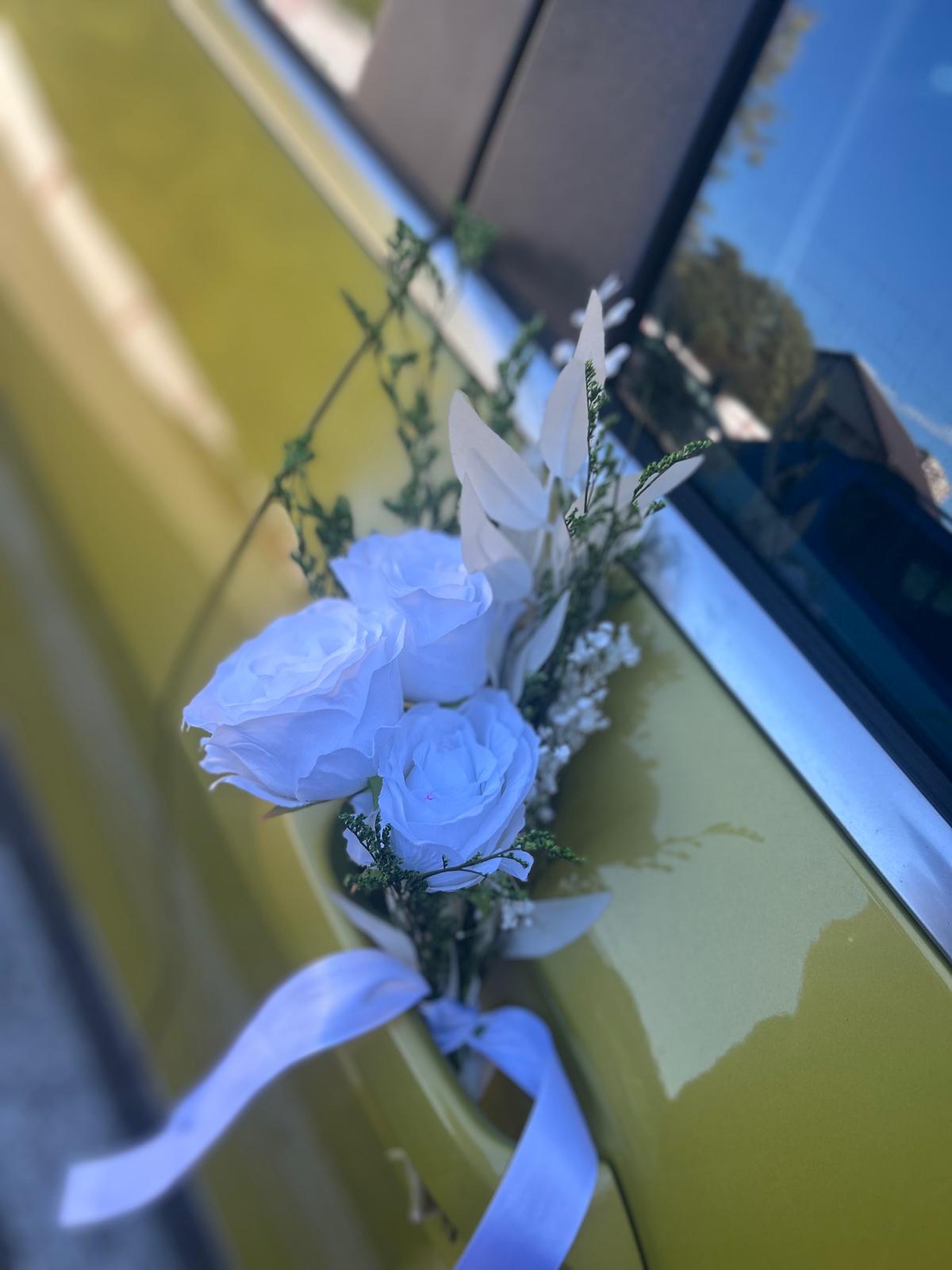 Aranjamente portiera