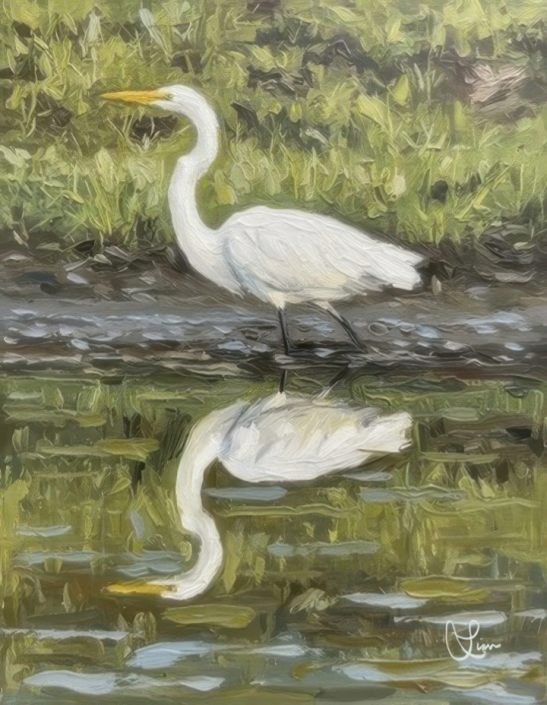 Painted White Egret