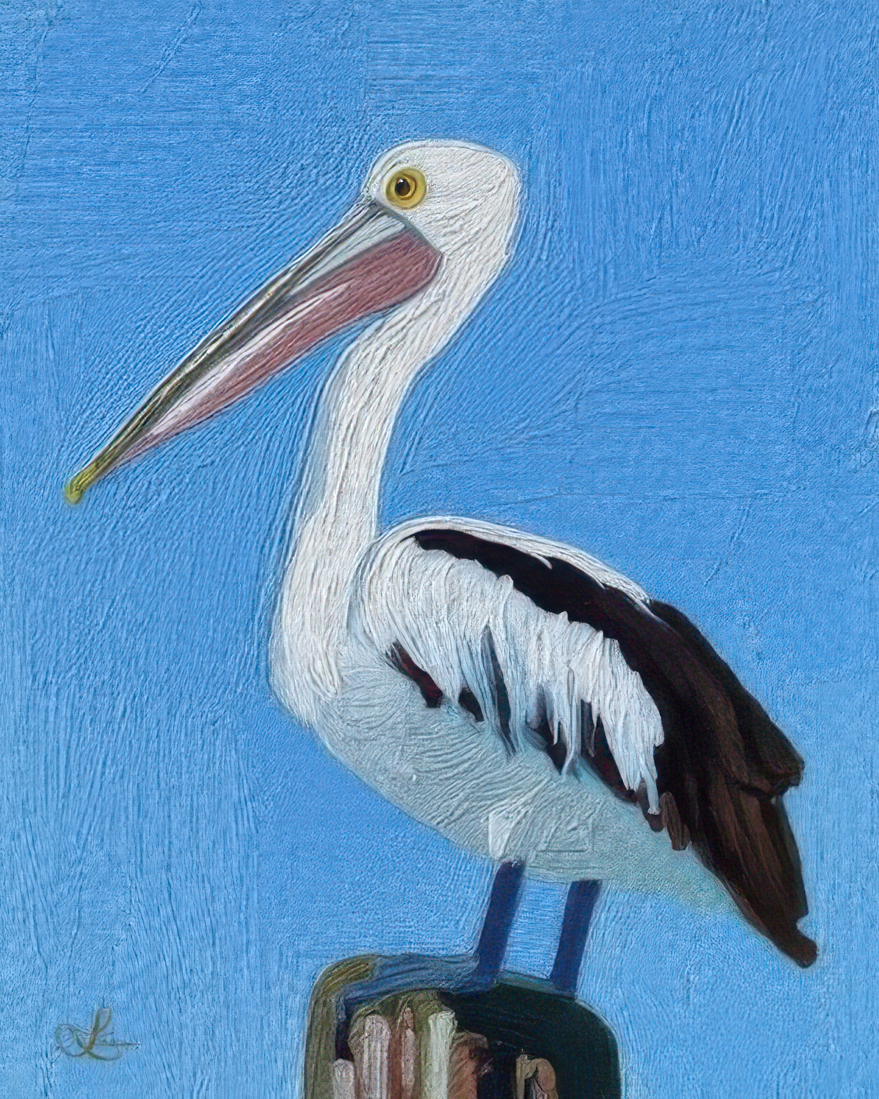 Pelican Art Print