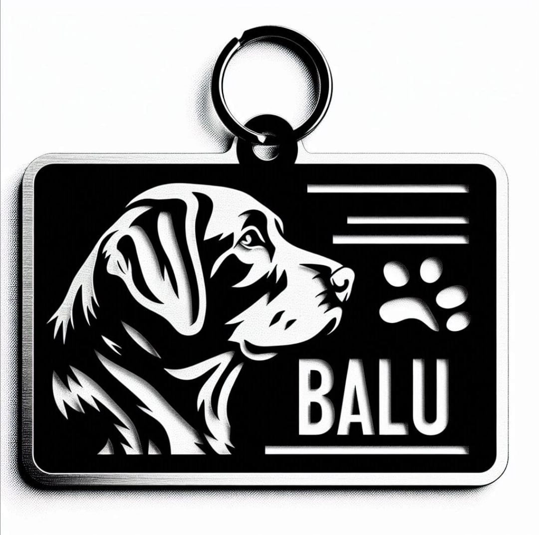 Llaveros personalizados de acero inoxidable