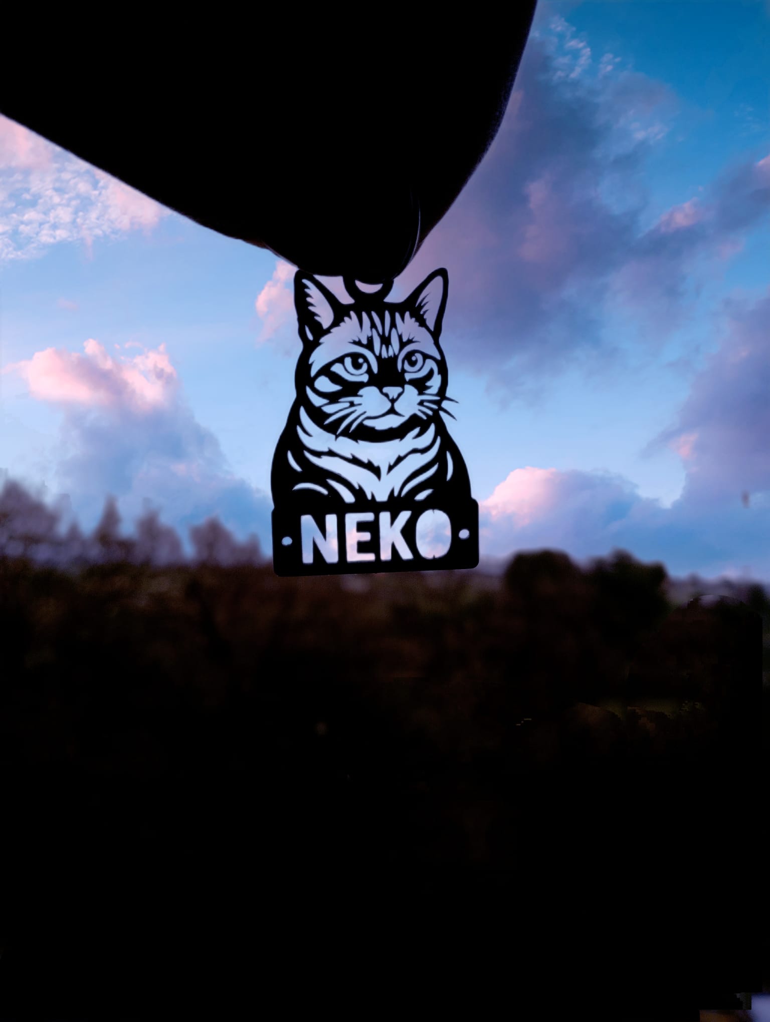 Llaveros personalizados de acero inoxidable