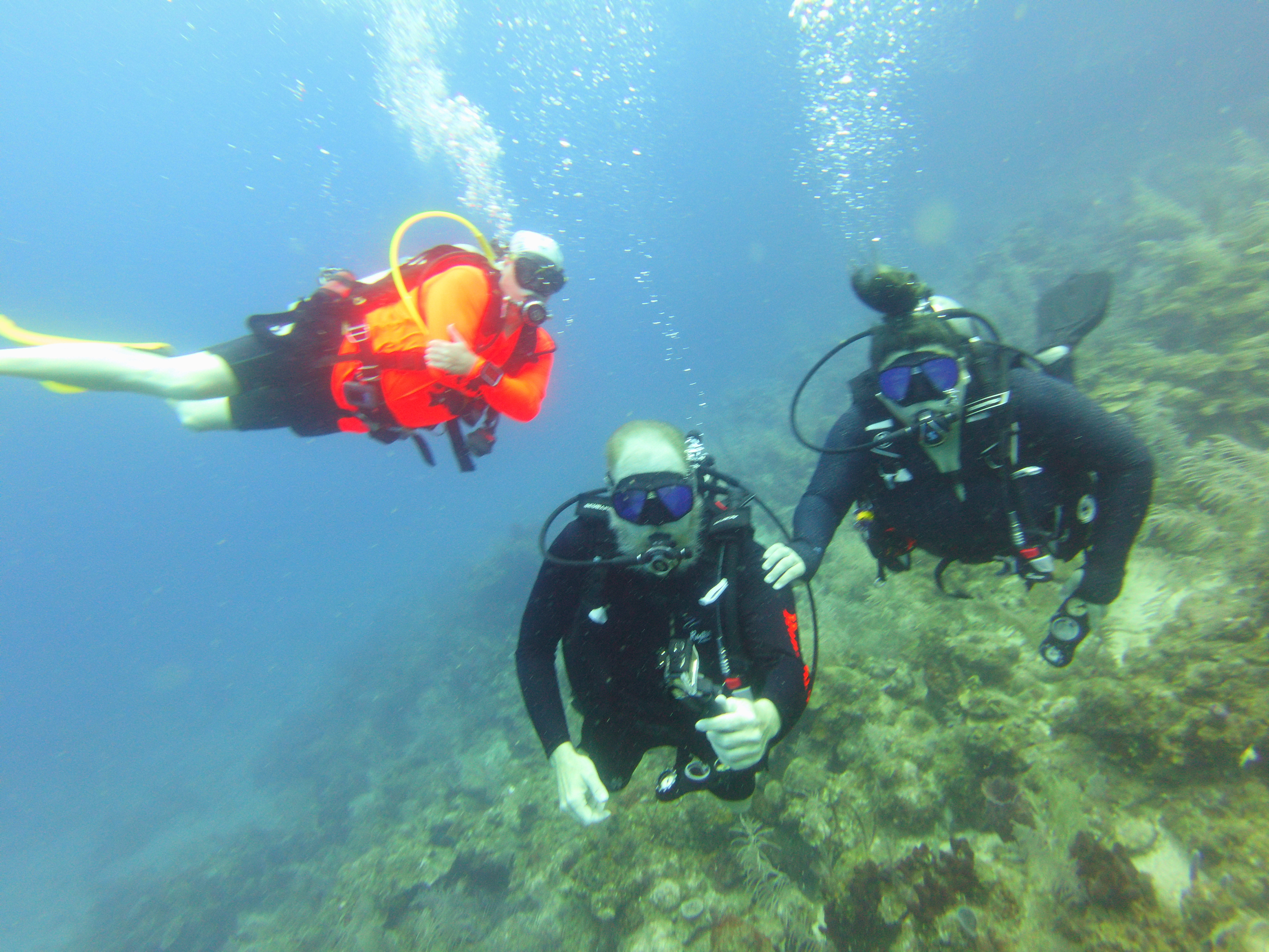 Certificacion Open Water