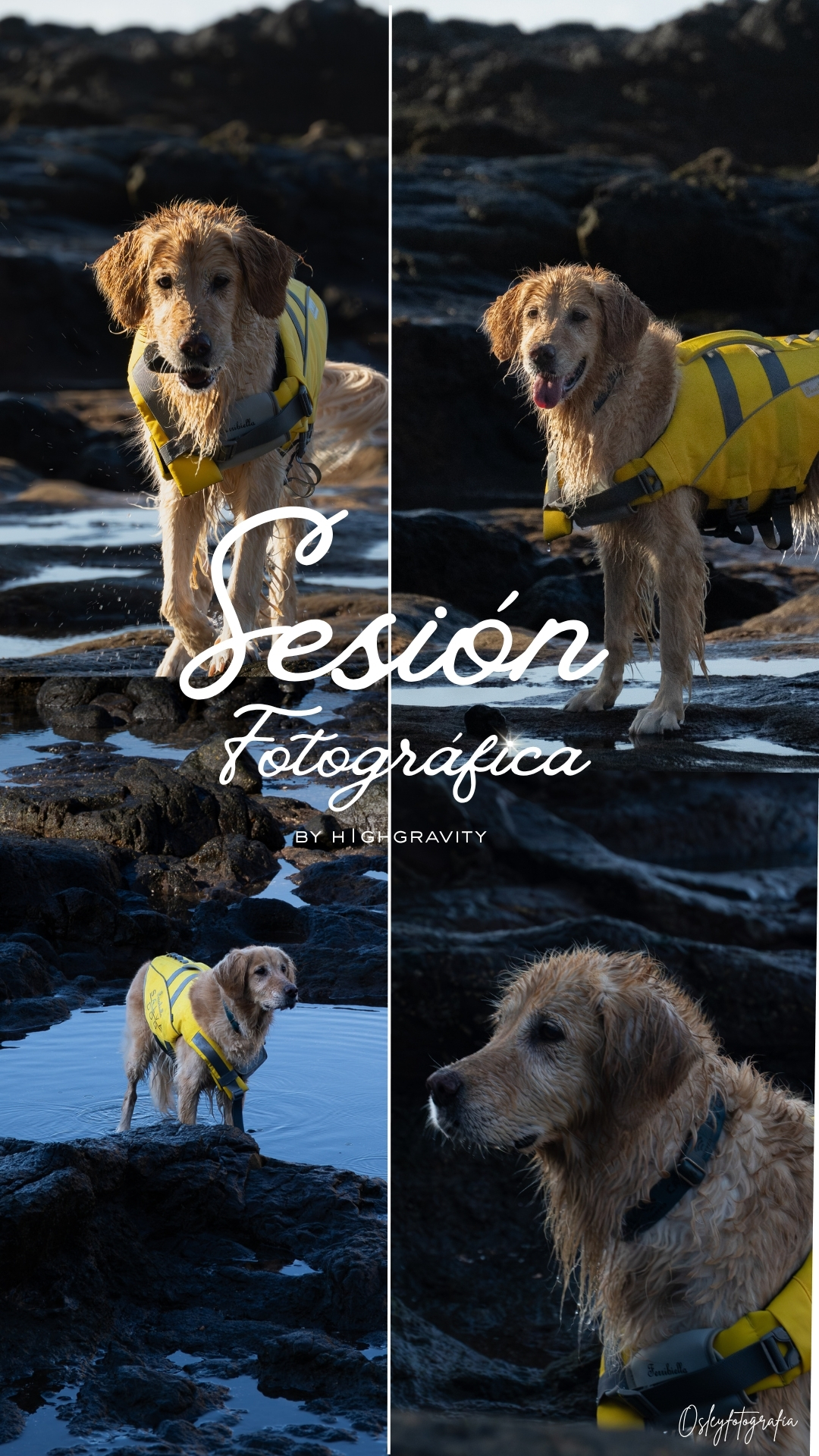 SESIÓN FOTOGRÁFICA PET FRIENDLY