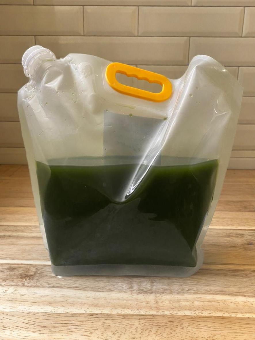 Fresh Organic Moringa Juice 128FL OZ /3.77ML