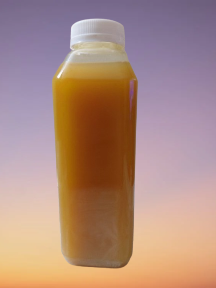 FISE Ginger Juice 16FL OZ (494 ML) 