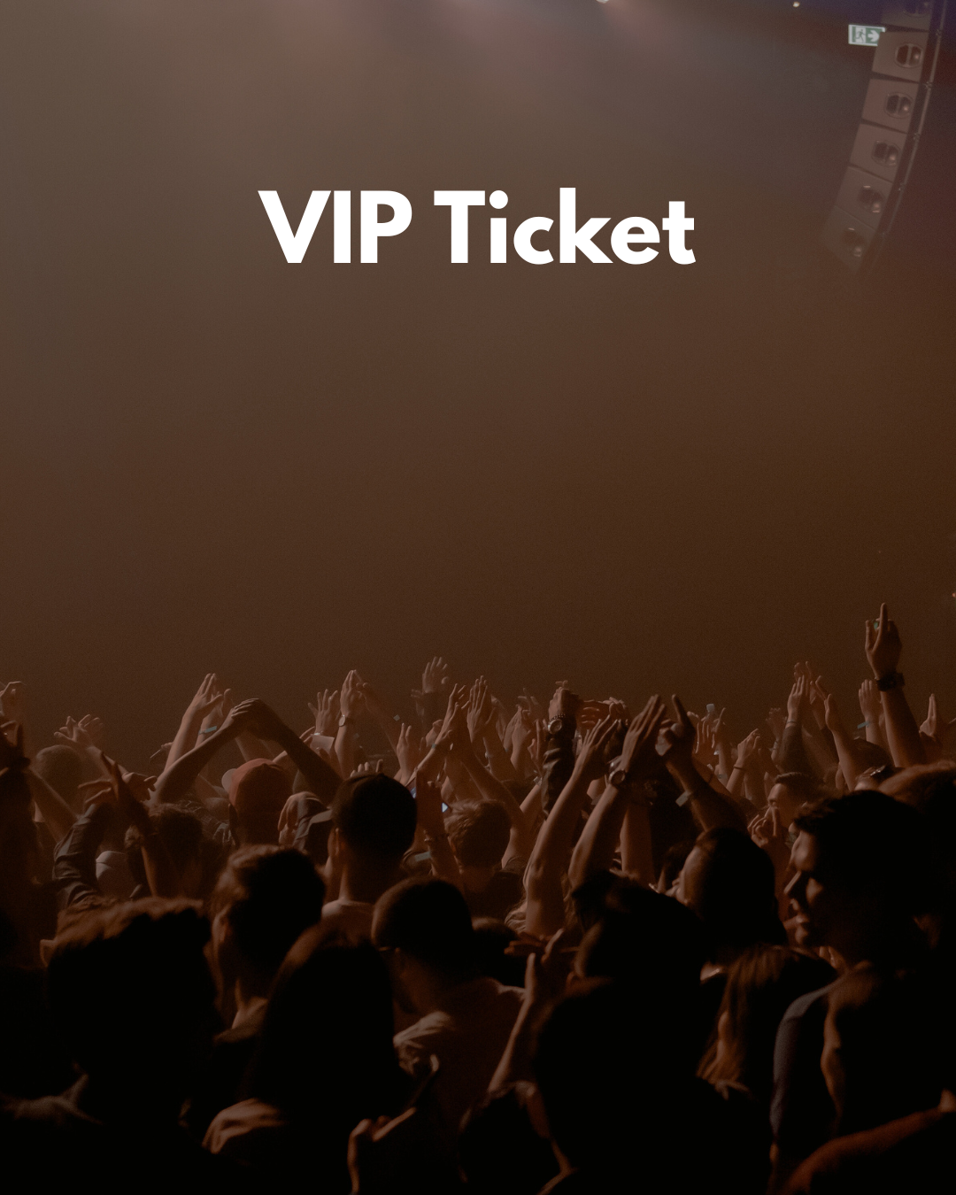 VIP Ticket