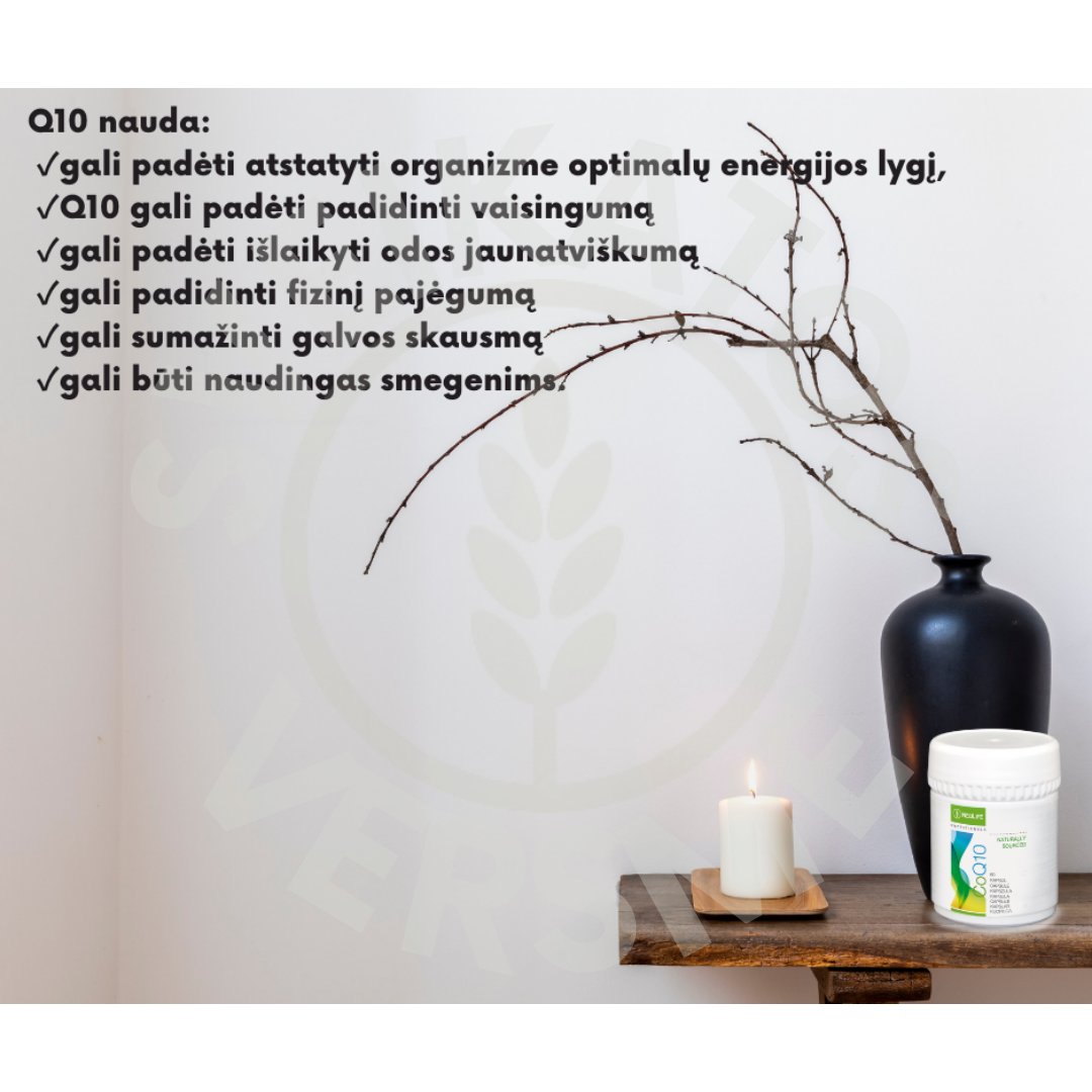 CoQ10 maisto papildas