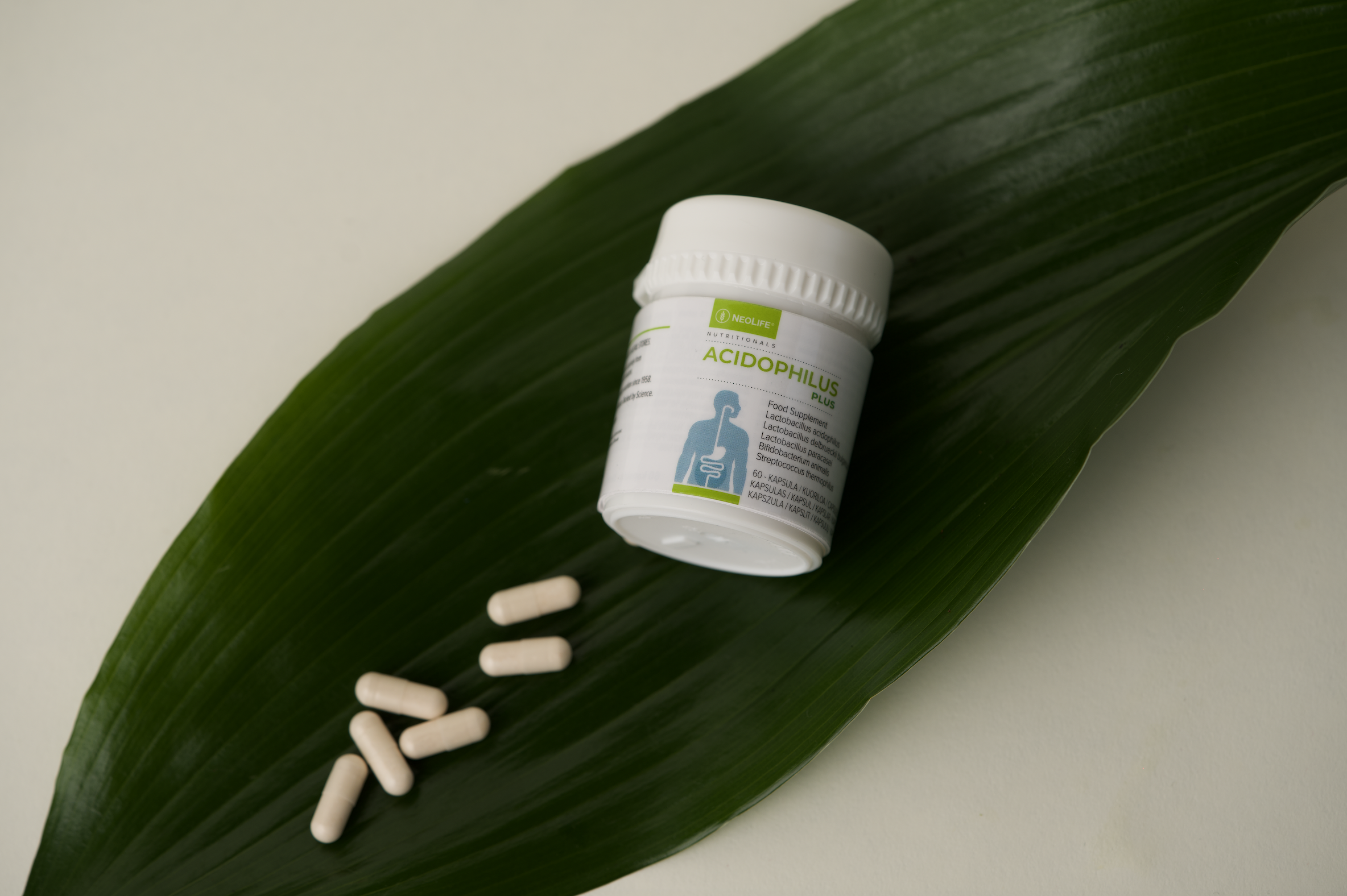 Acidophilus Plus
