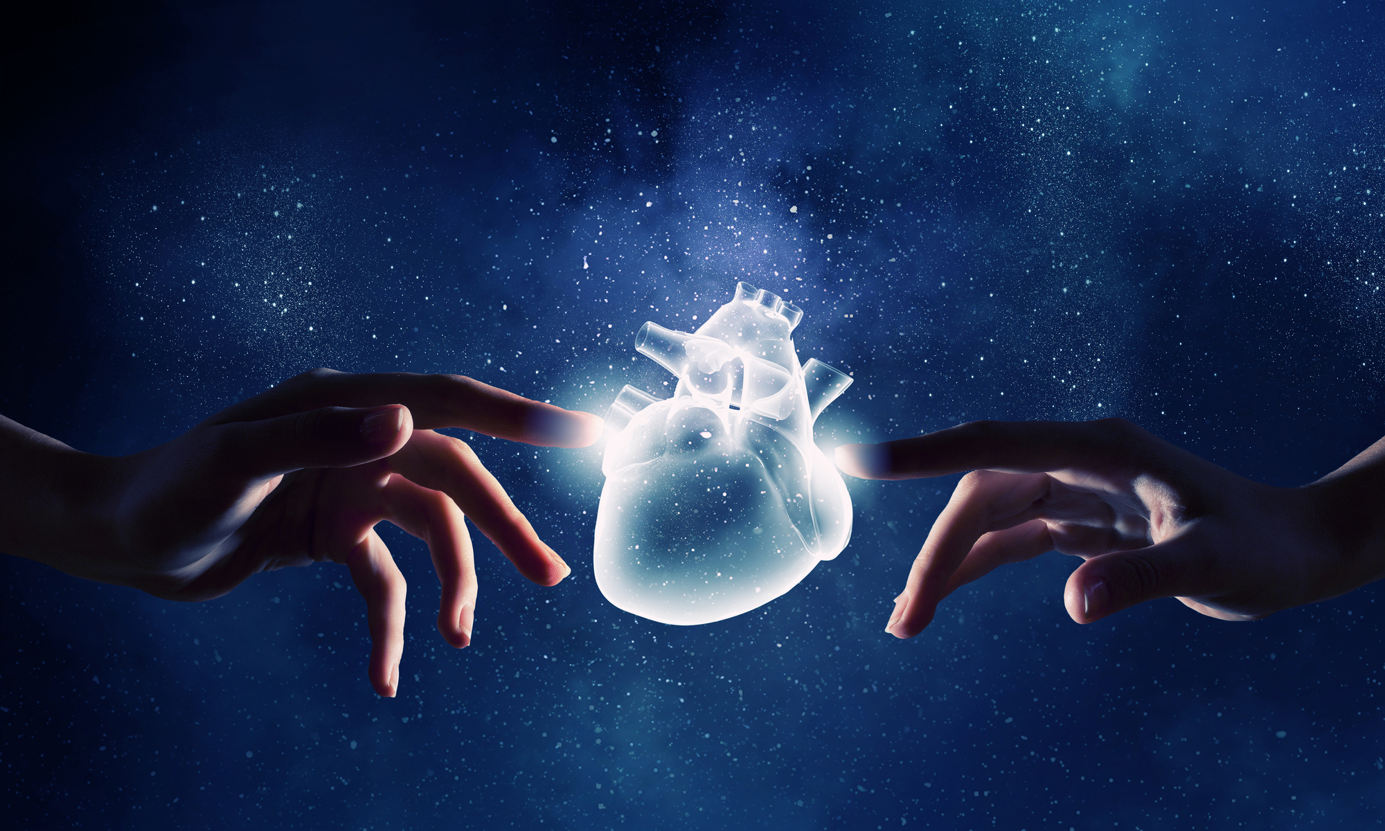 Introduction & Free sessions