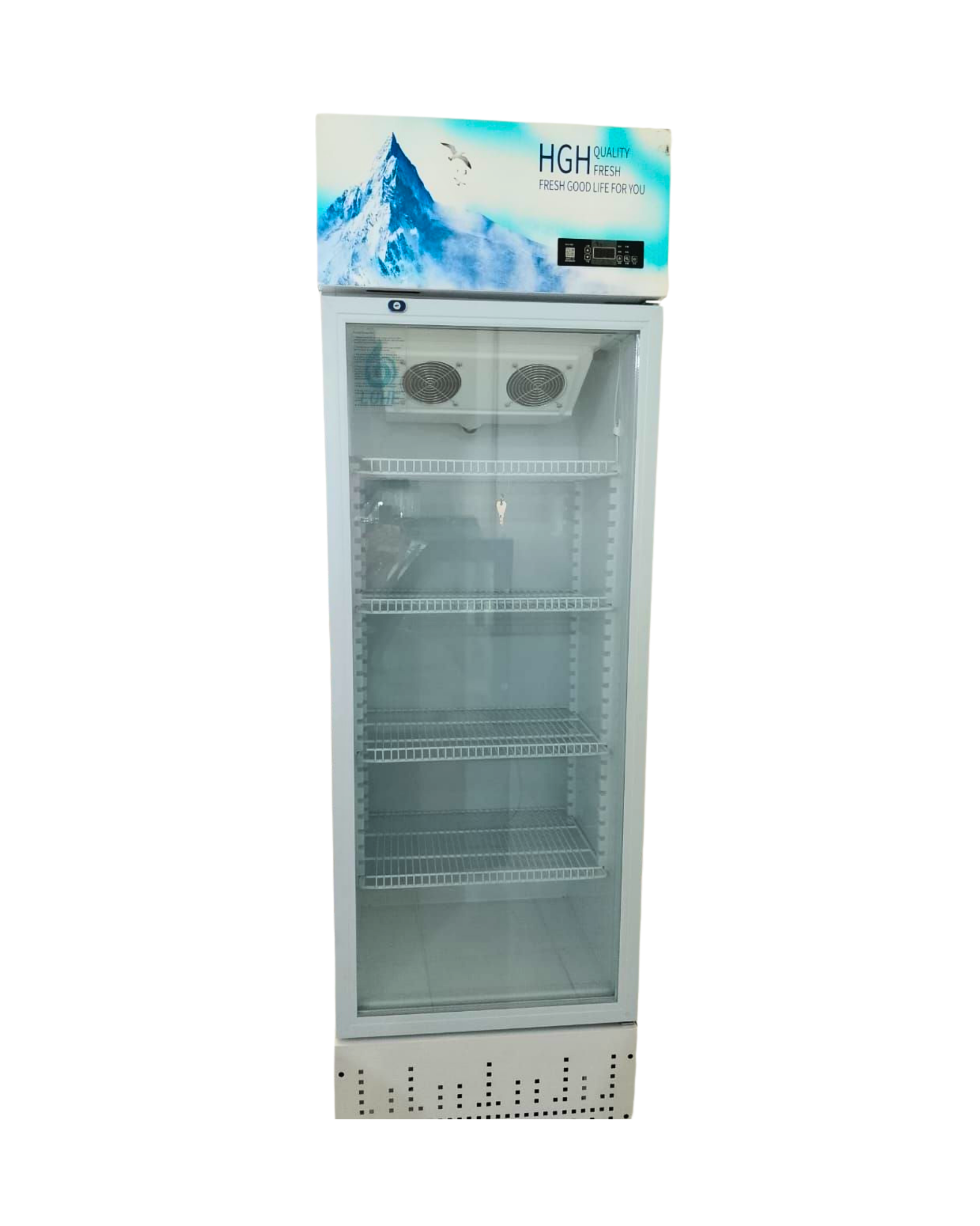 Showcase Cooler 1 door