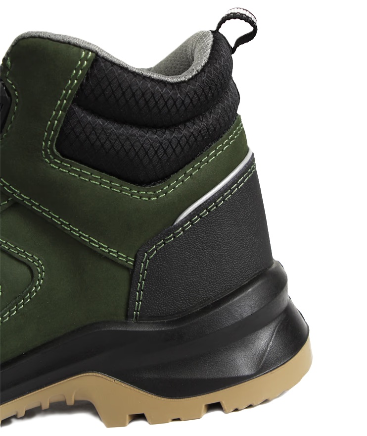 CHEETAH  Jubatus - 6112