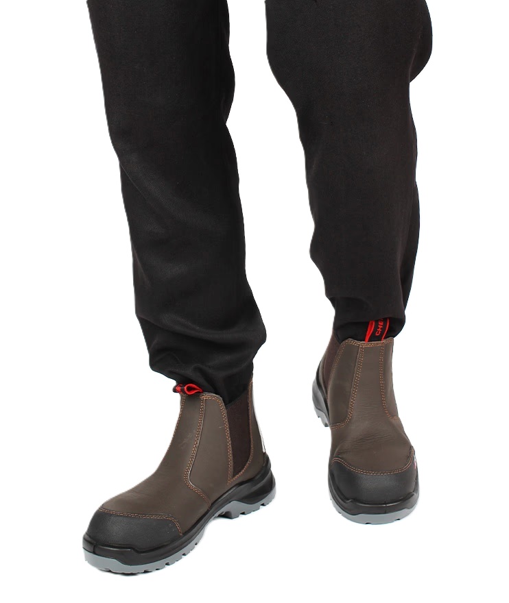 CHEETAH Pardus - 6110