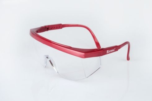 MSA Sierra Protective Eyewear
