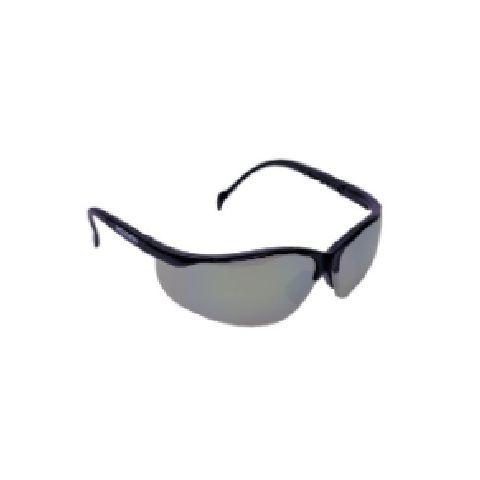 MSA Discovery Eyewear