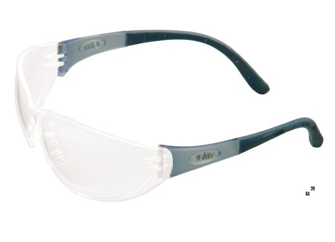 MSA Arctic Elite Eyewear
