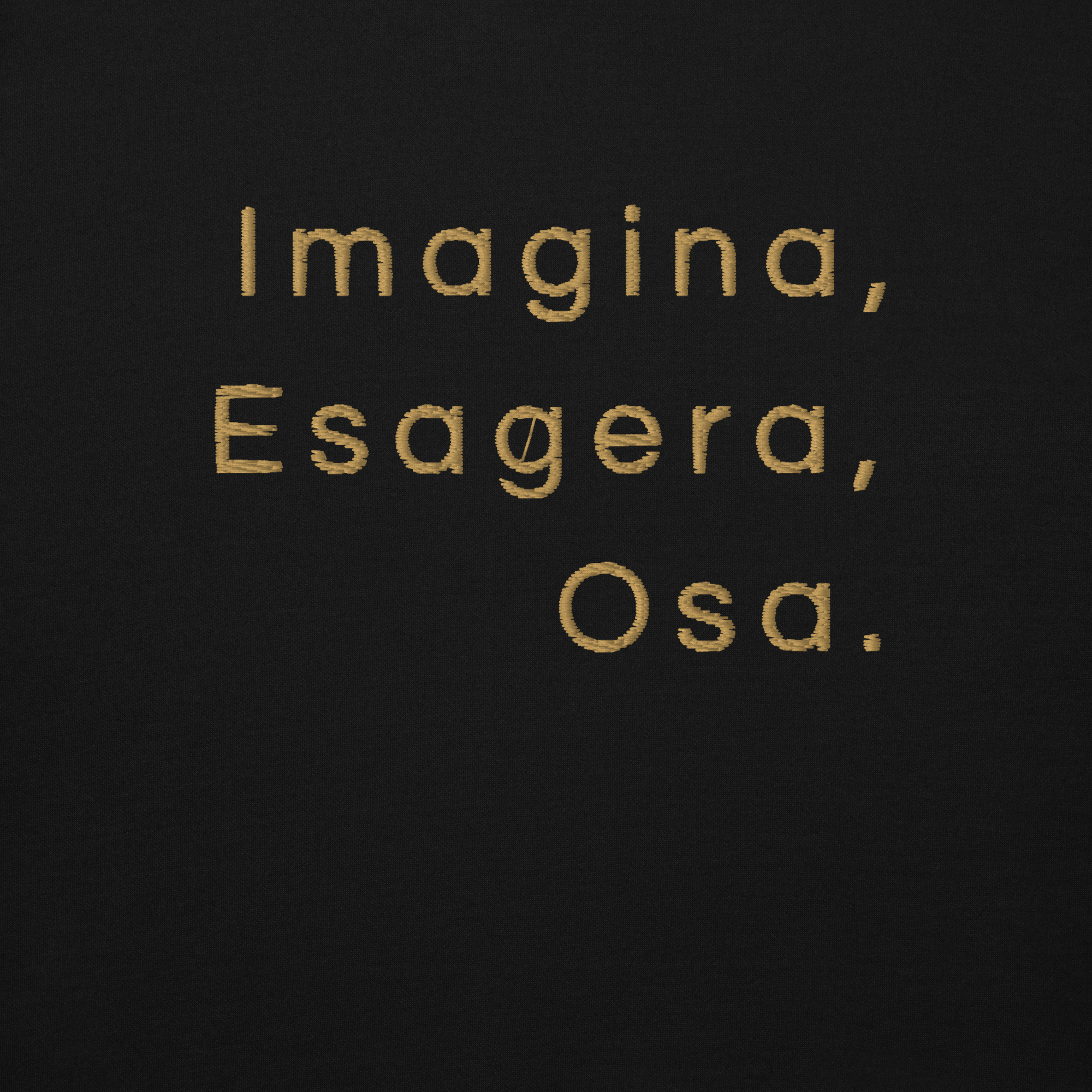 FELPA VALINU' - Immagina, esagera, osa (ricamata)