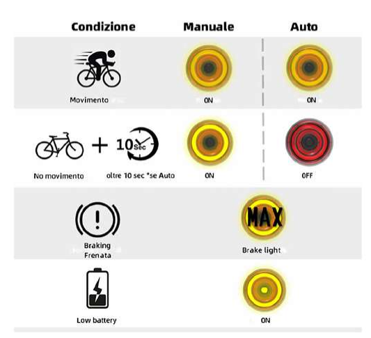 FANALINI POSTERIORE ENFITNIX XLITSE