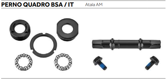 PERNO QUADRO BSA / IT COMPLETO