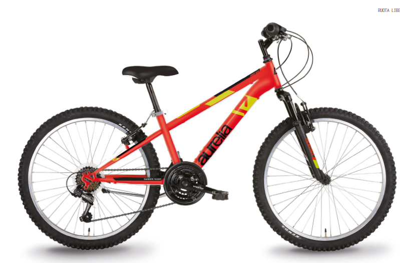 Mountain Bike '24 man