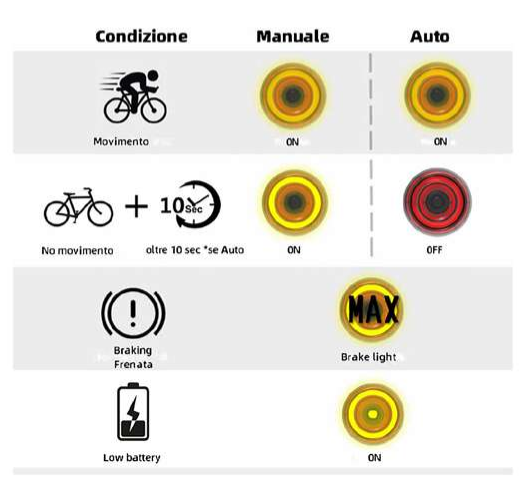 XLITSE FANAL.POST.ENFITNIX XLITSE