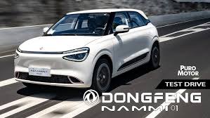 Carro Eléctrico Nammi Dongfeng 