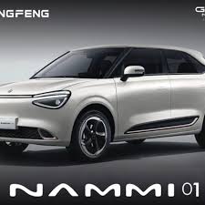 Carro Eléctrico Nammi Dongfeng 