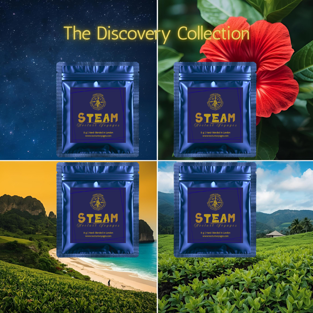 SAMPLES - STEAM Nocture Voyages