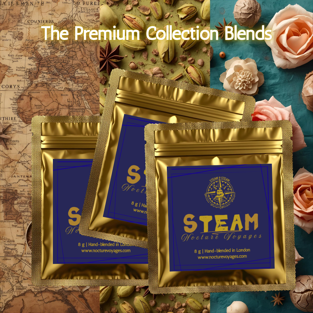 SAMPLES - STEAM Nocture Voyages