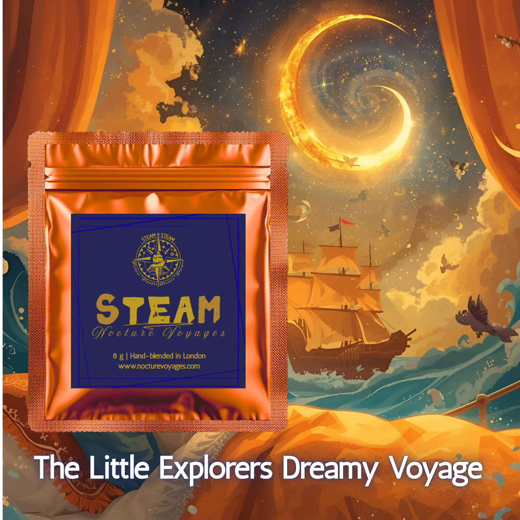 Dream Voyage Collection - The Little Explorers