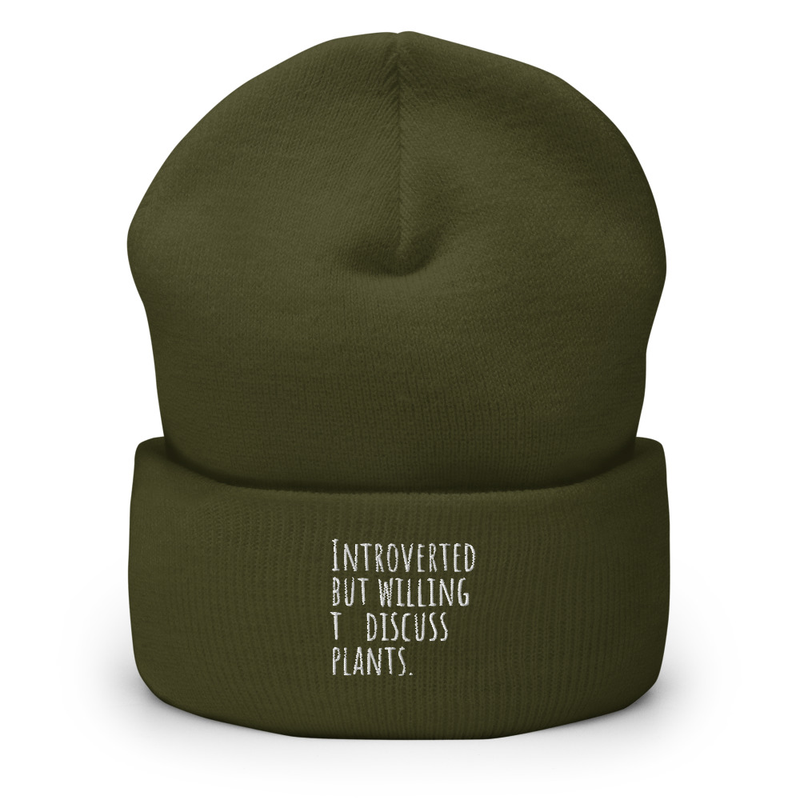Introverted Cuffed Beanie