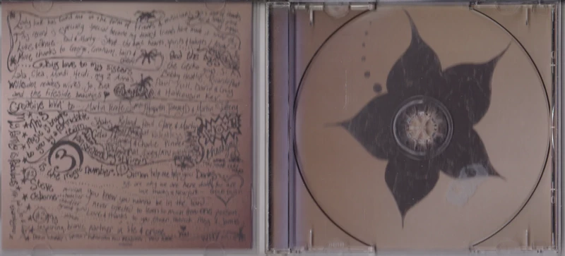 KT Tunstall – Eye To The Telescope CD album