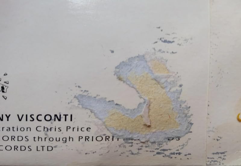 The Roar Sound Featuring Sally Oldfield ‎– Share (Roar 1985) 7" vinyl single VG/G+