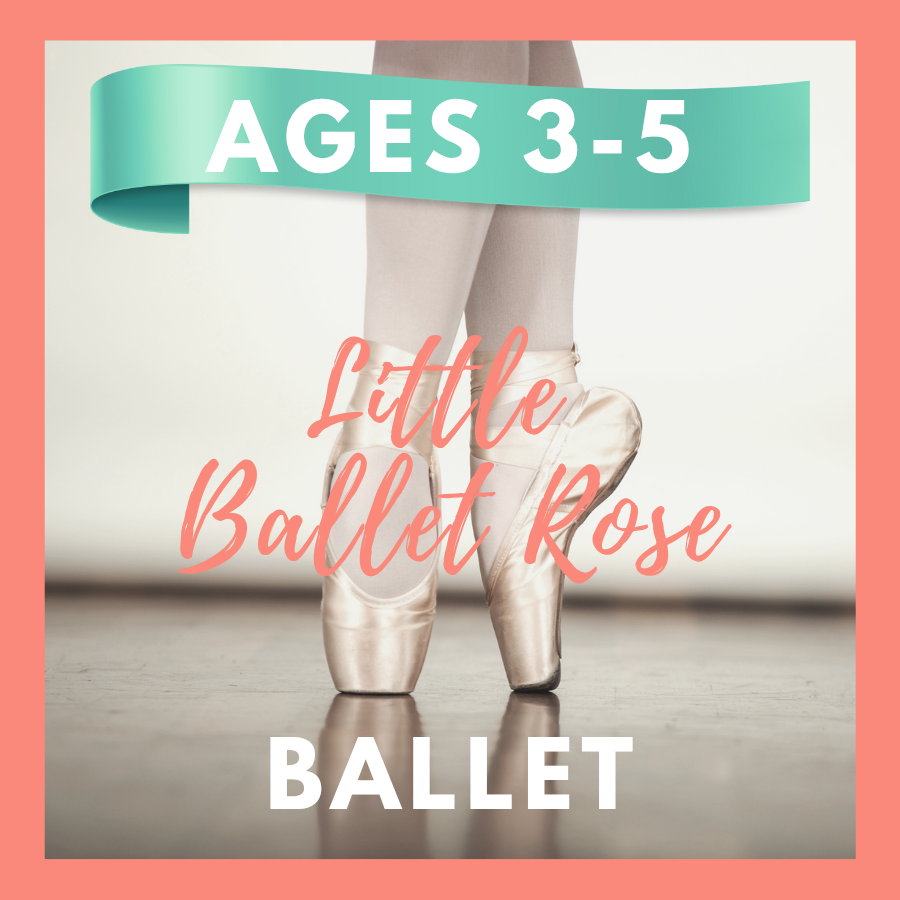 Little Ballet Rose
