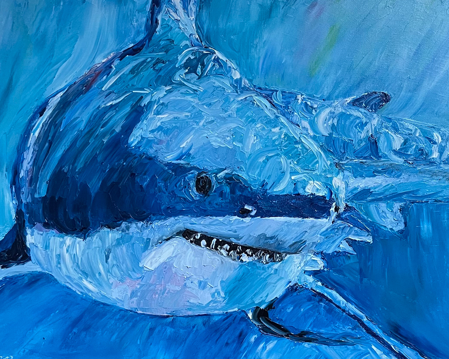 Great White Shark