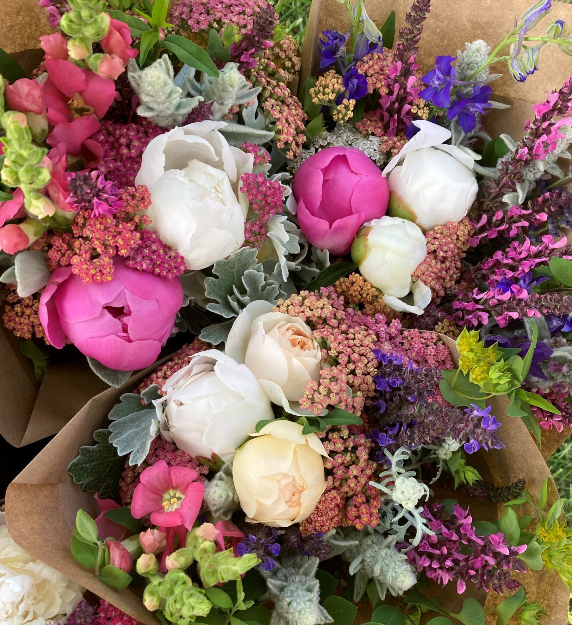 Cherry Petals Full 12 Week Subscription