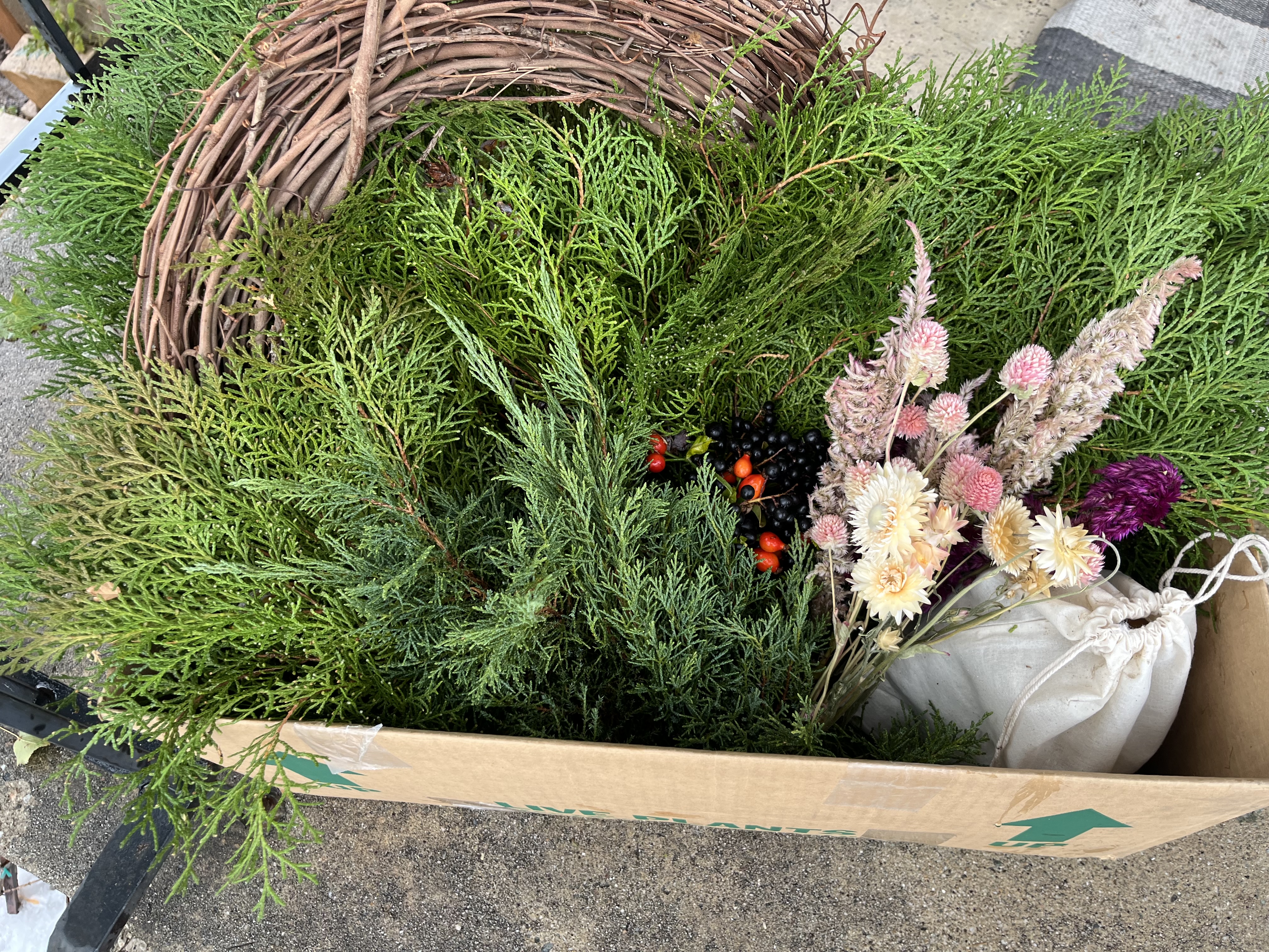 Wreath Kit! 18" grapevine wreath included 