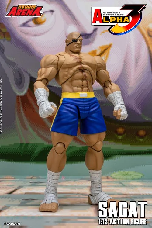 Street Fighter Alpha 3 Storm Arena Sagat 1/12 Scale Action Figure