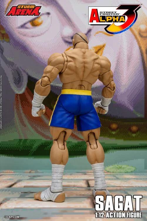 Street Fighter Alpha 3 Storm Arena Sagat 1/12 Scale Action Figure