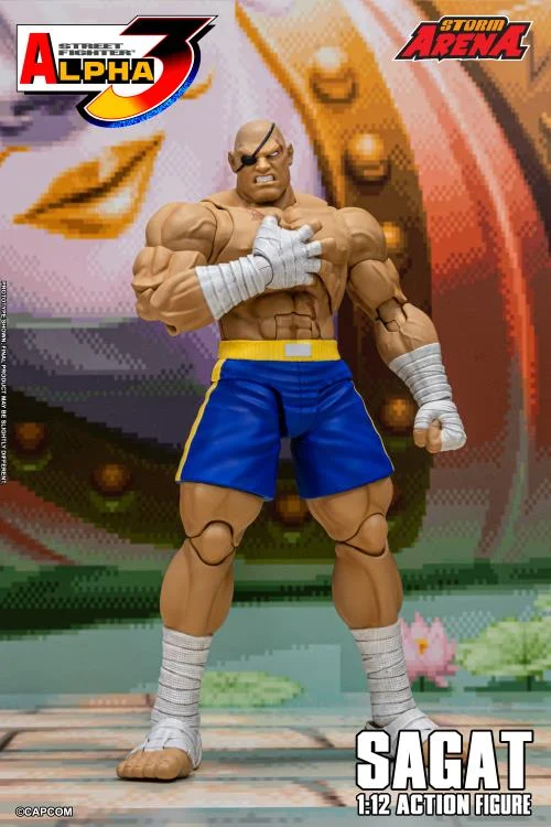 Street Fighter Alpha 3 Storm Arena Sagat 1/12 Scale Action Figure