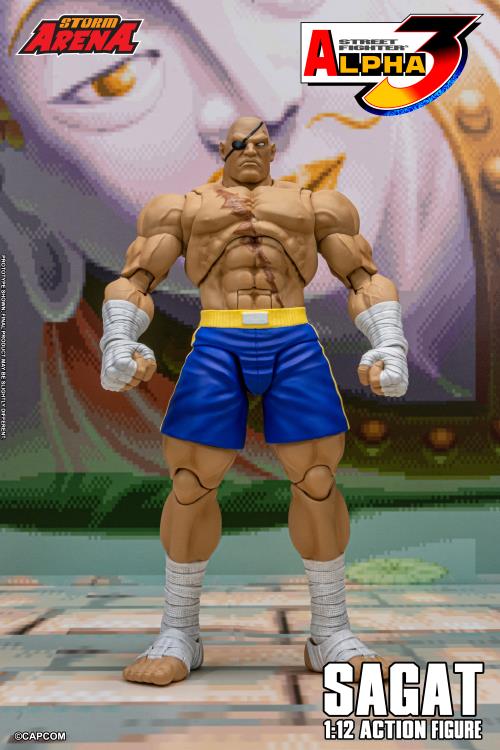 Street Fighter Alpha 3 Storm Arena Sagat 1/12 Scale Action Figure