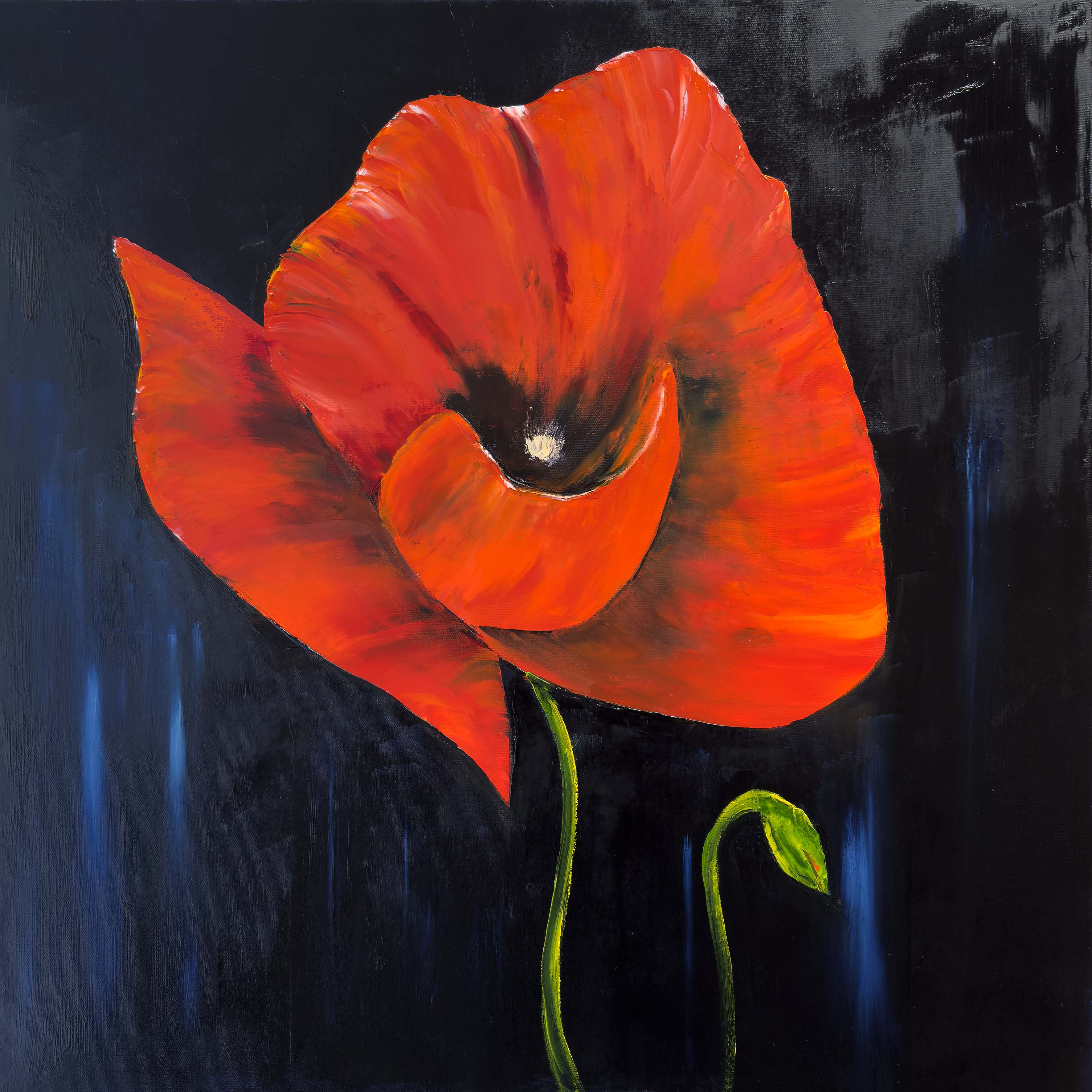 Coquelicot (dimensions 70x70)