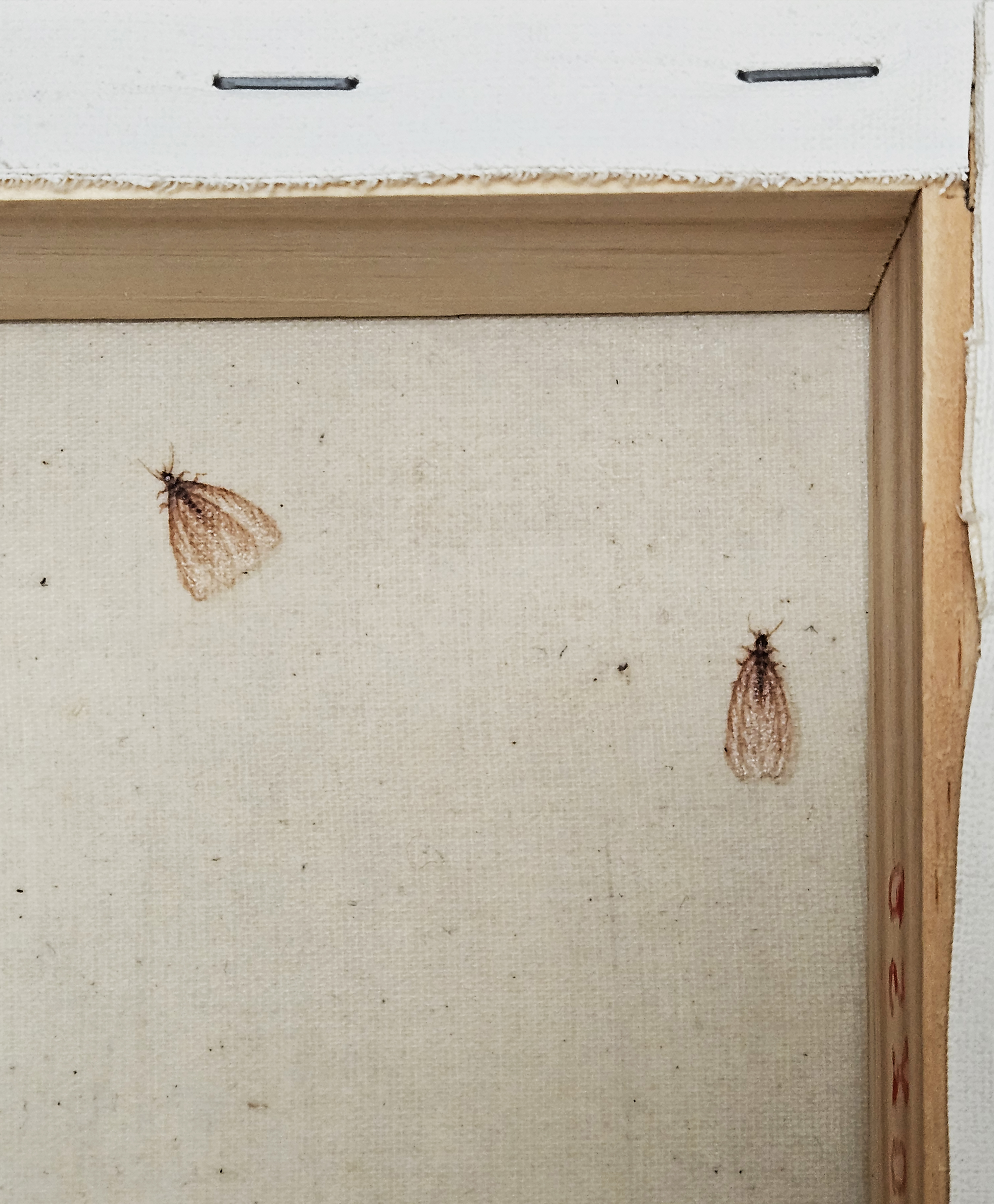 Melhores amigos do artista #2