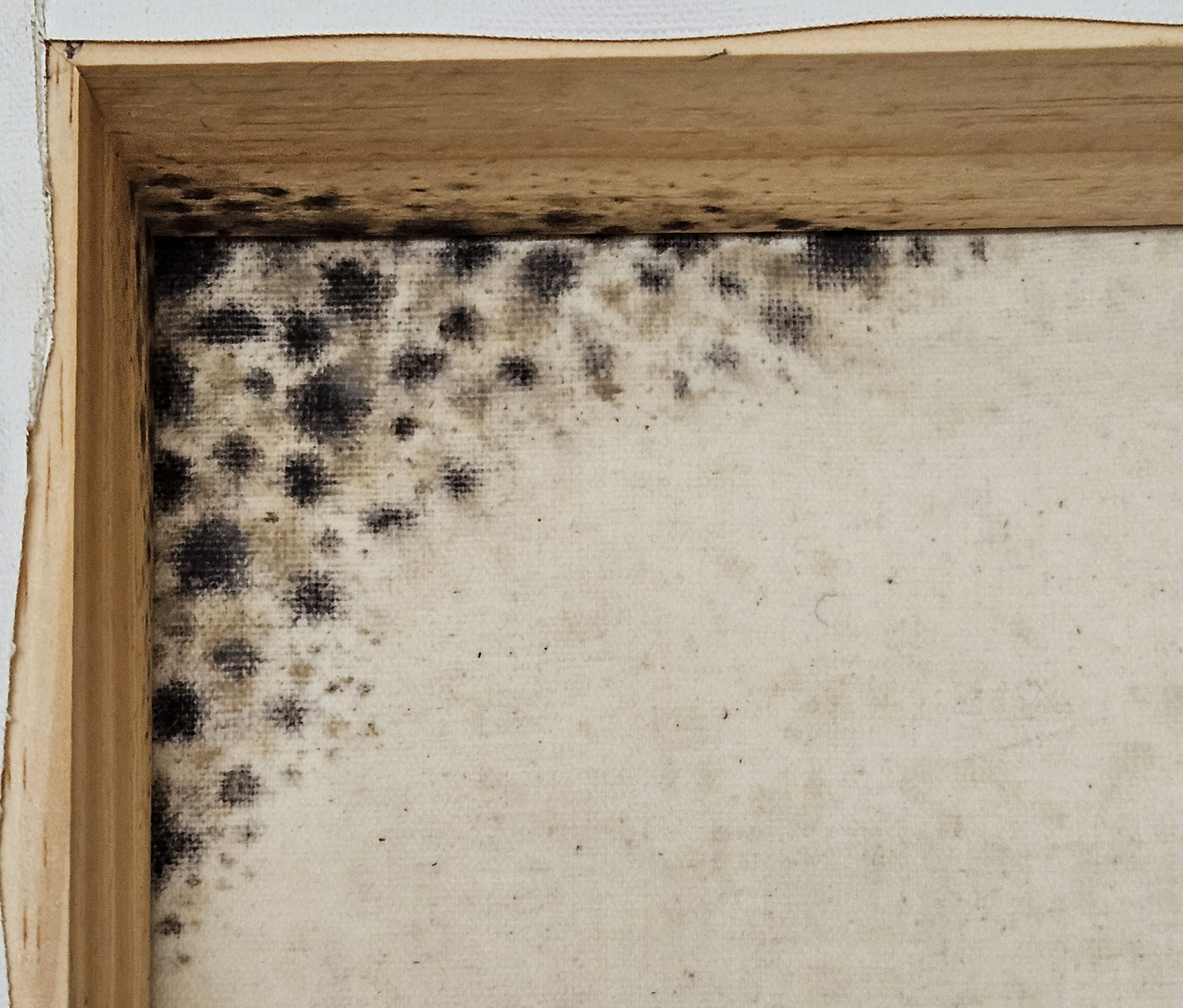 Melhores amigos do artista #4