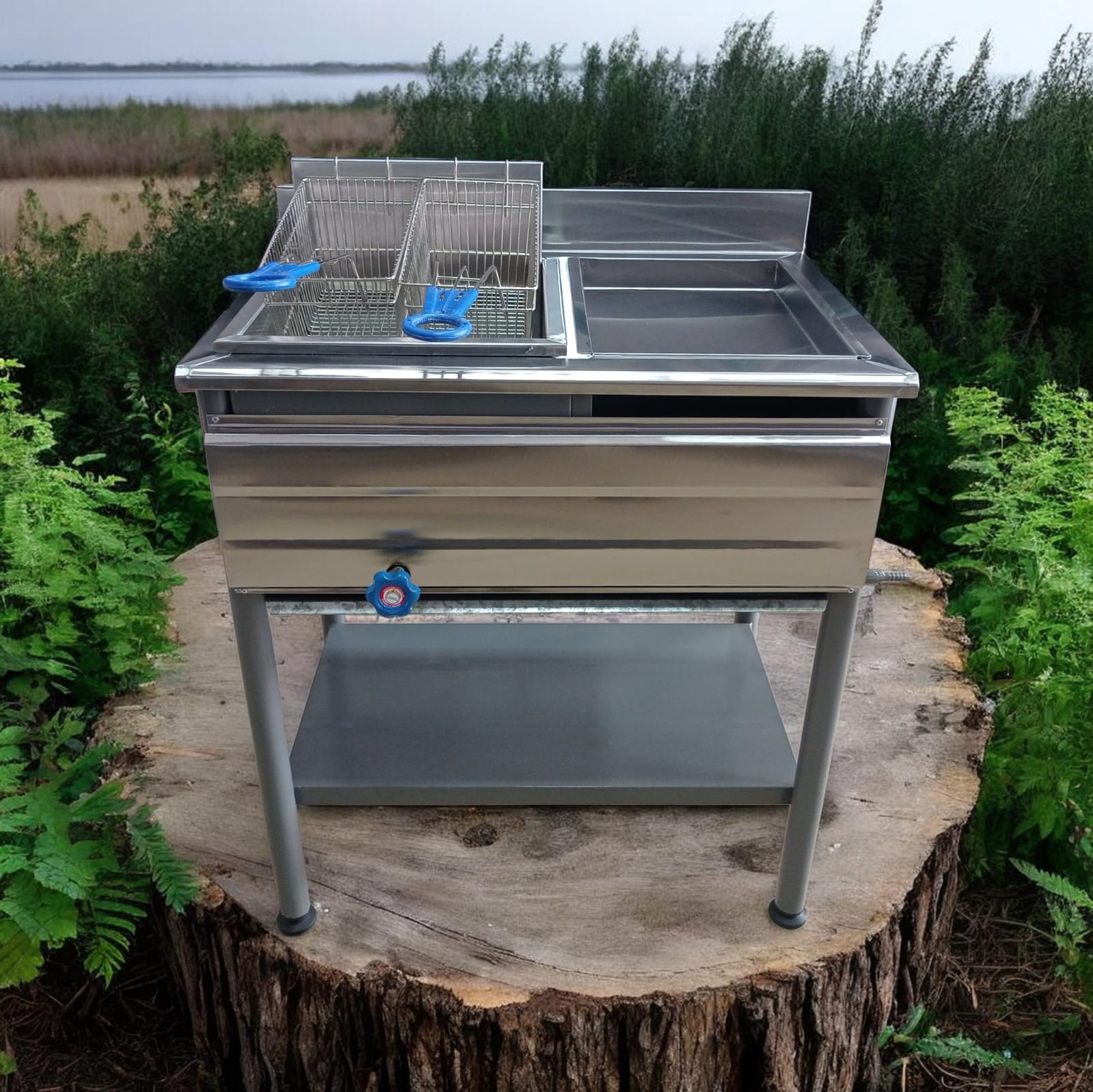 Freidora de 2 servicios + 2 canastillas abierta - (mixta) 